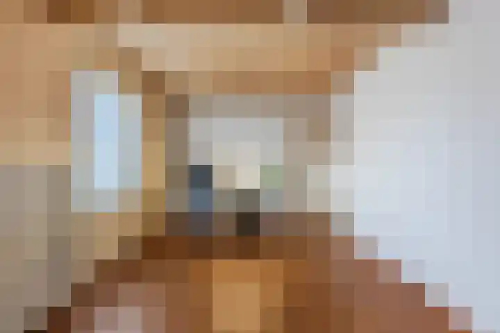 Bolle Akkers 8 Sint-Oedenrode thumbnail 39