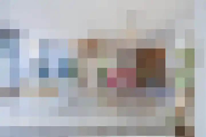 Bolle Akkers 8 Sint-Oedenrode thumbnail 4