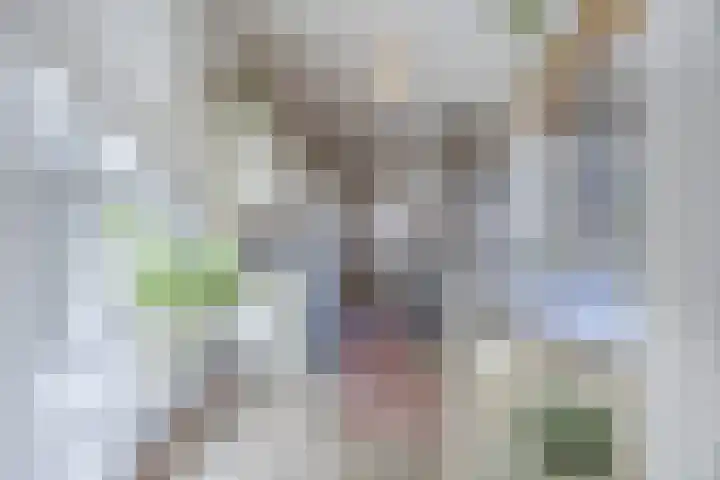 Bolle Akkers 8 Sint-Oedenrode thumbnail 5
