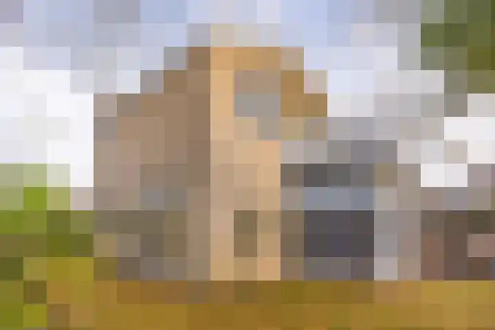 Bolle Akkers 8 Sint-Oedenrode thumbnail 58