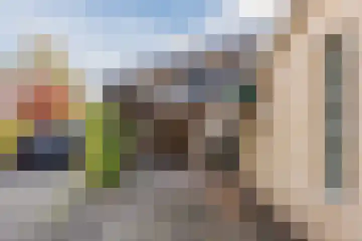 Bolle Akkers 8 Sint-Oedenrode thumbnail 64
