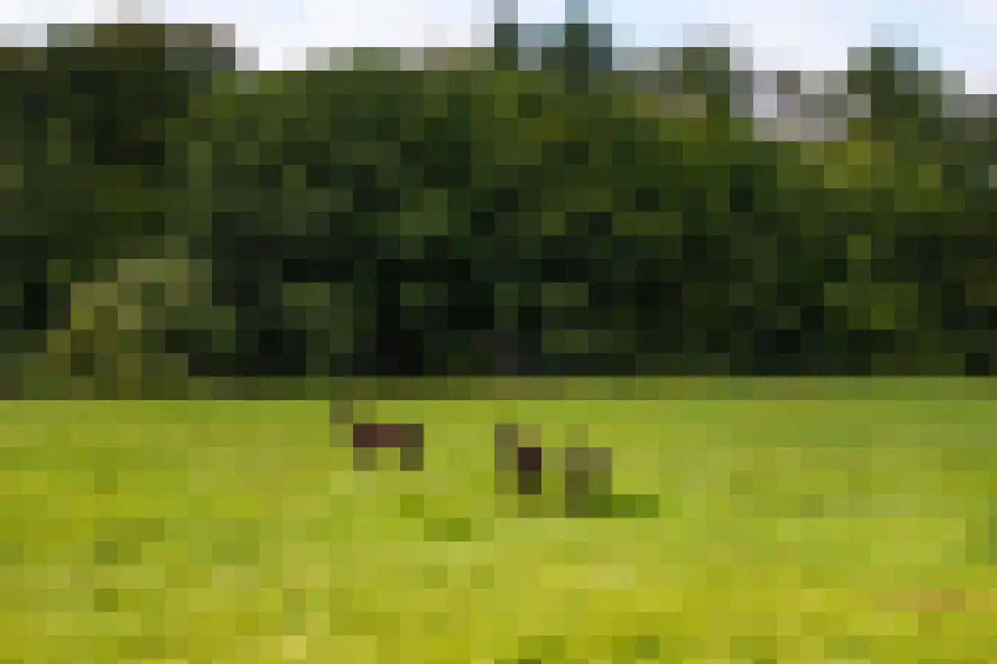 Bollelaan 6 Naarden thumbnail 39
