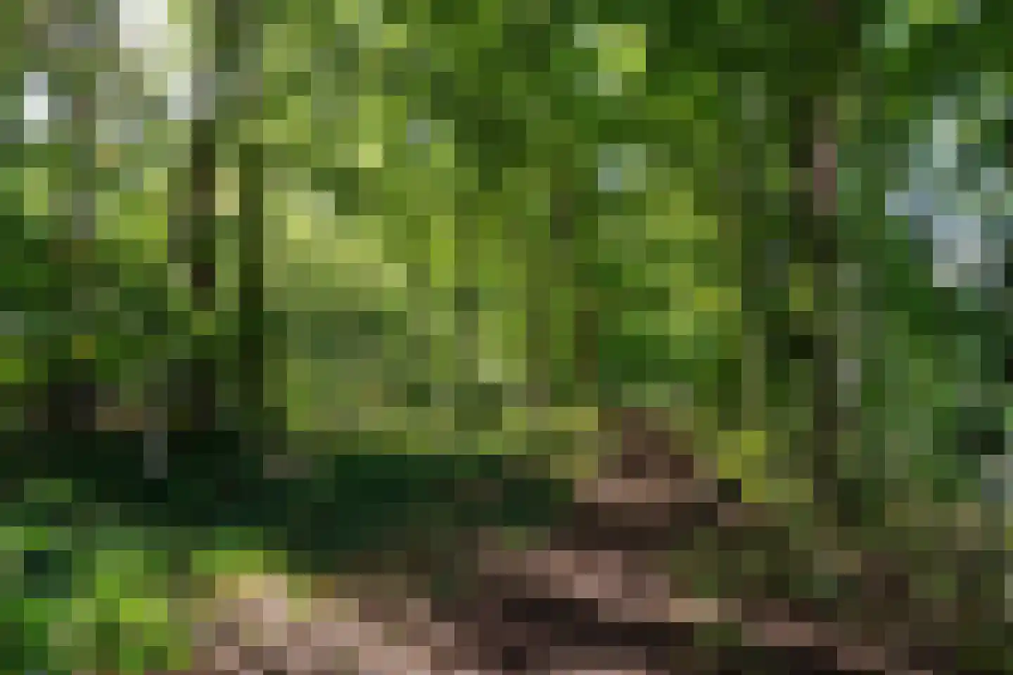 Bollelaan 6 Naarden thumbnail 40
