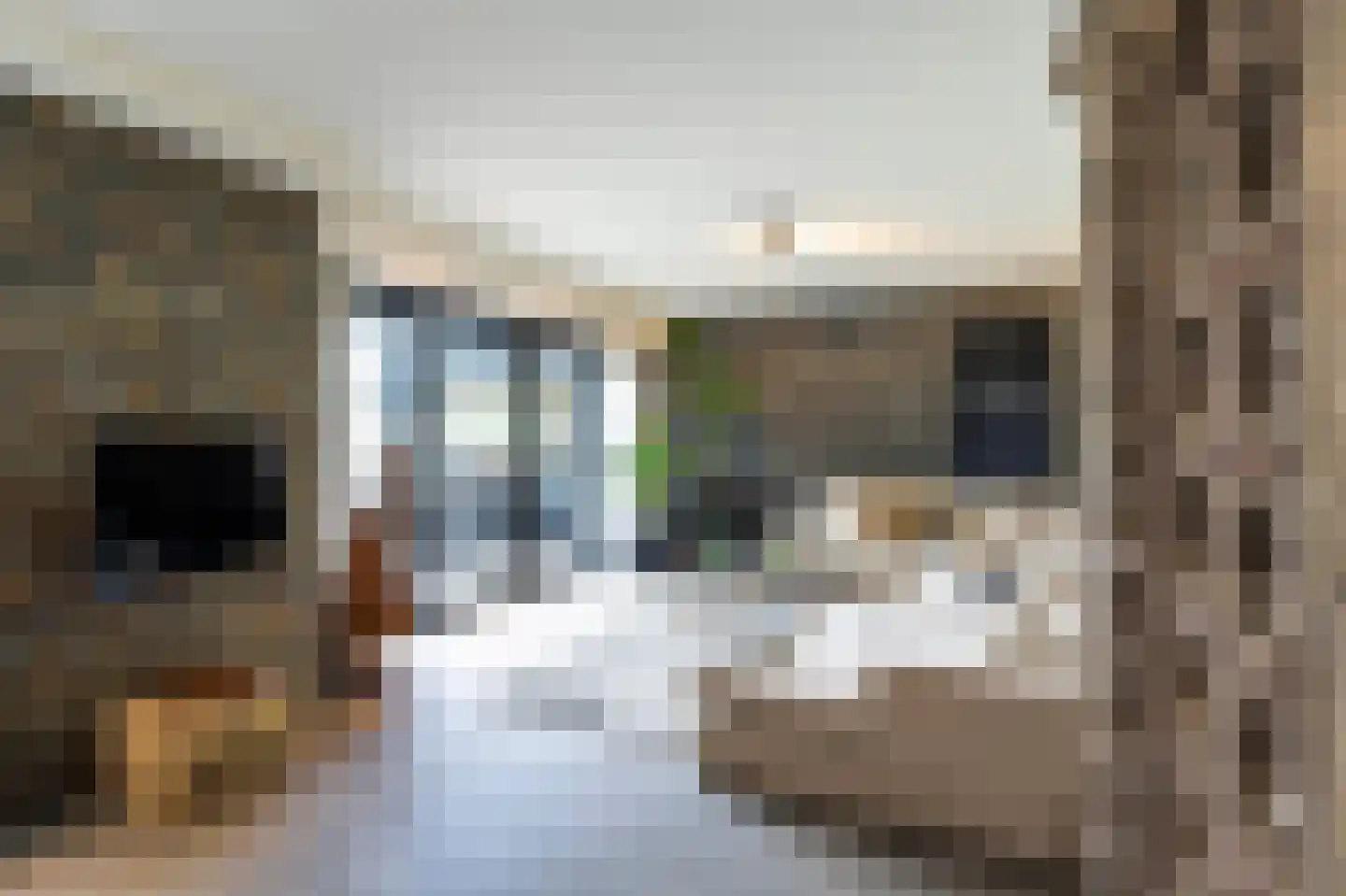 Bollelaan 6 Naarden thumbnail 7