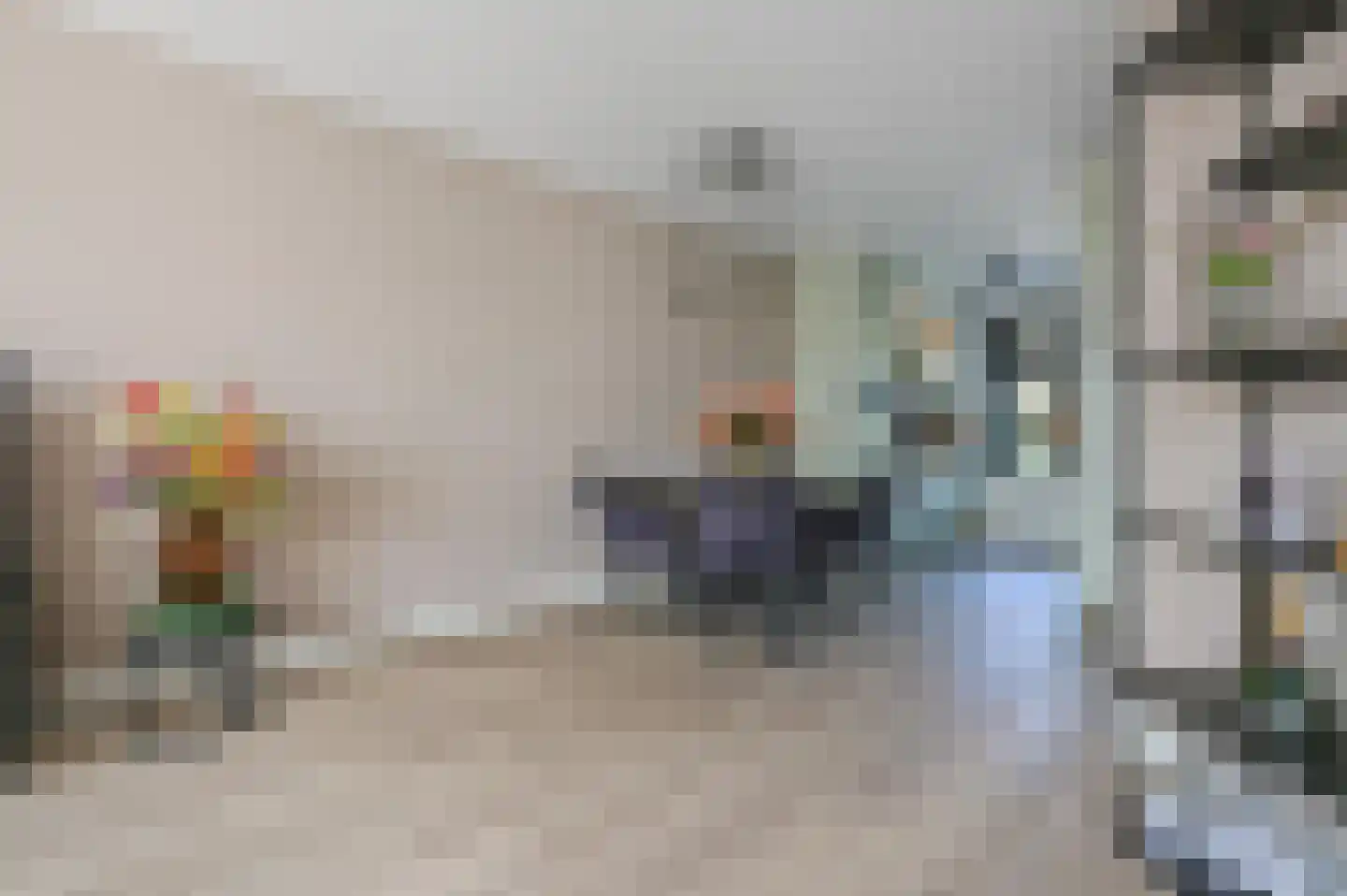 Bollengoed 15 Putten thumbnail 10