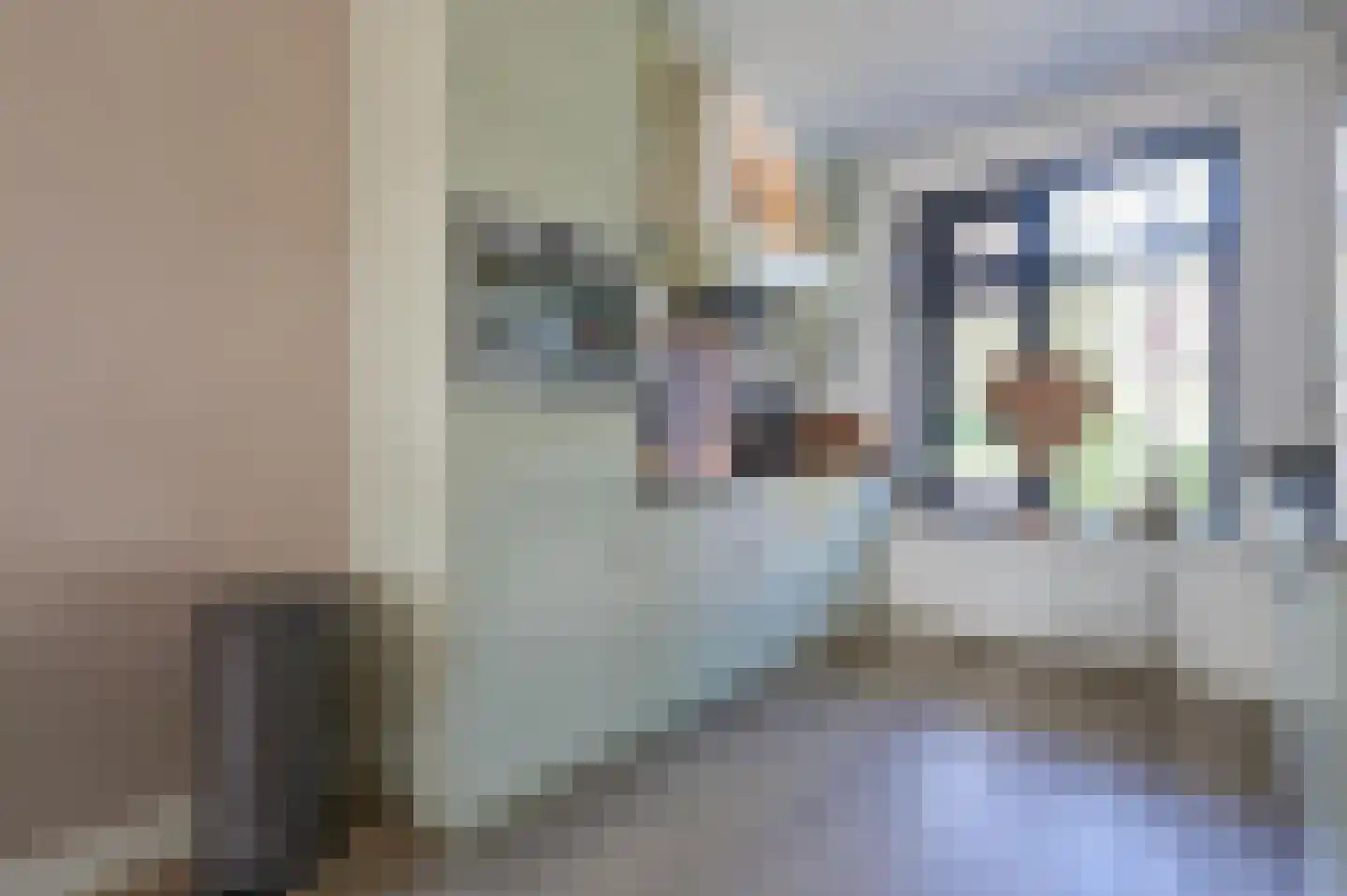 Bollengoed 15 Putten thumbnail 11