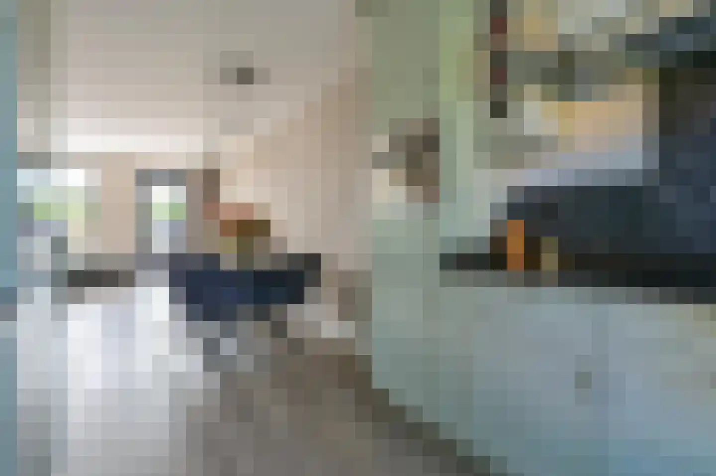 Bollengoed 15 Putten thumbnail 13