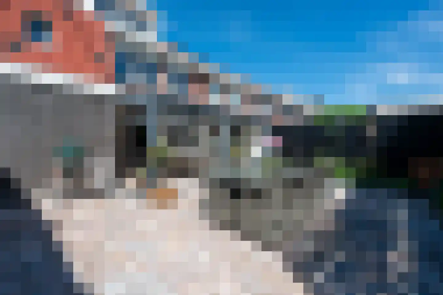 Bollengoed 15 Putten thumbnail 27
