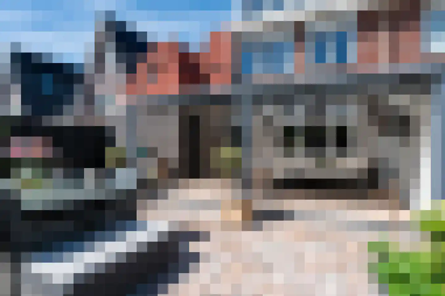 Bollengoed 15 Putten thumbnail 28