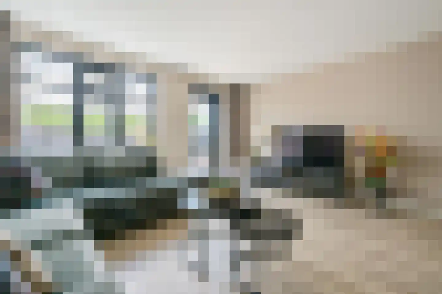 Bollengoed 15 Putten thumbnail 8