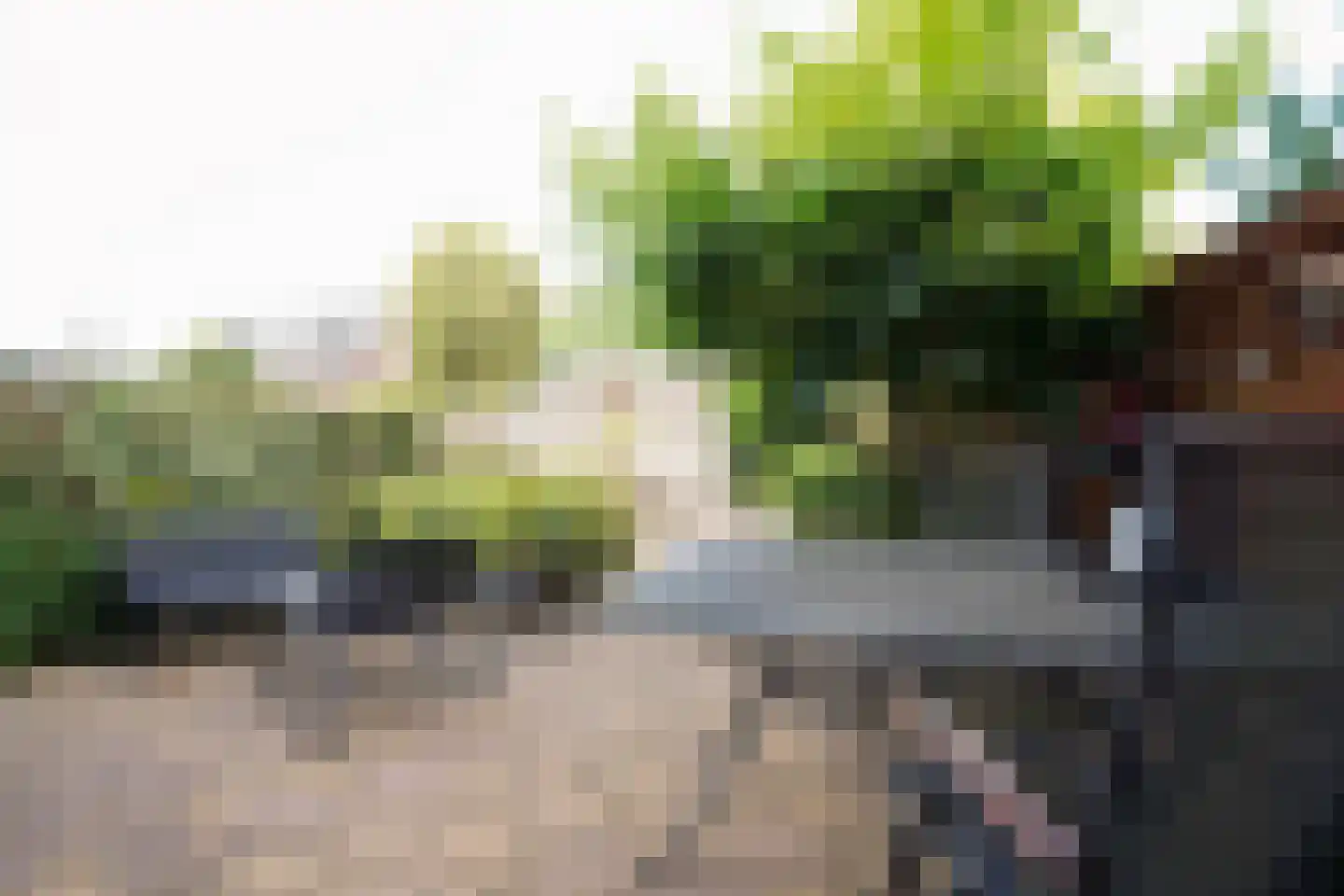 Bollengoed 20 Putten thumbnail 10