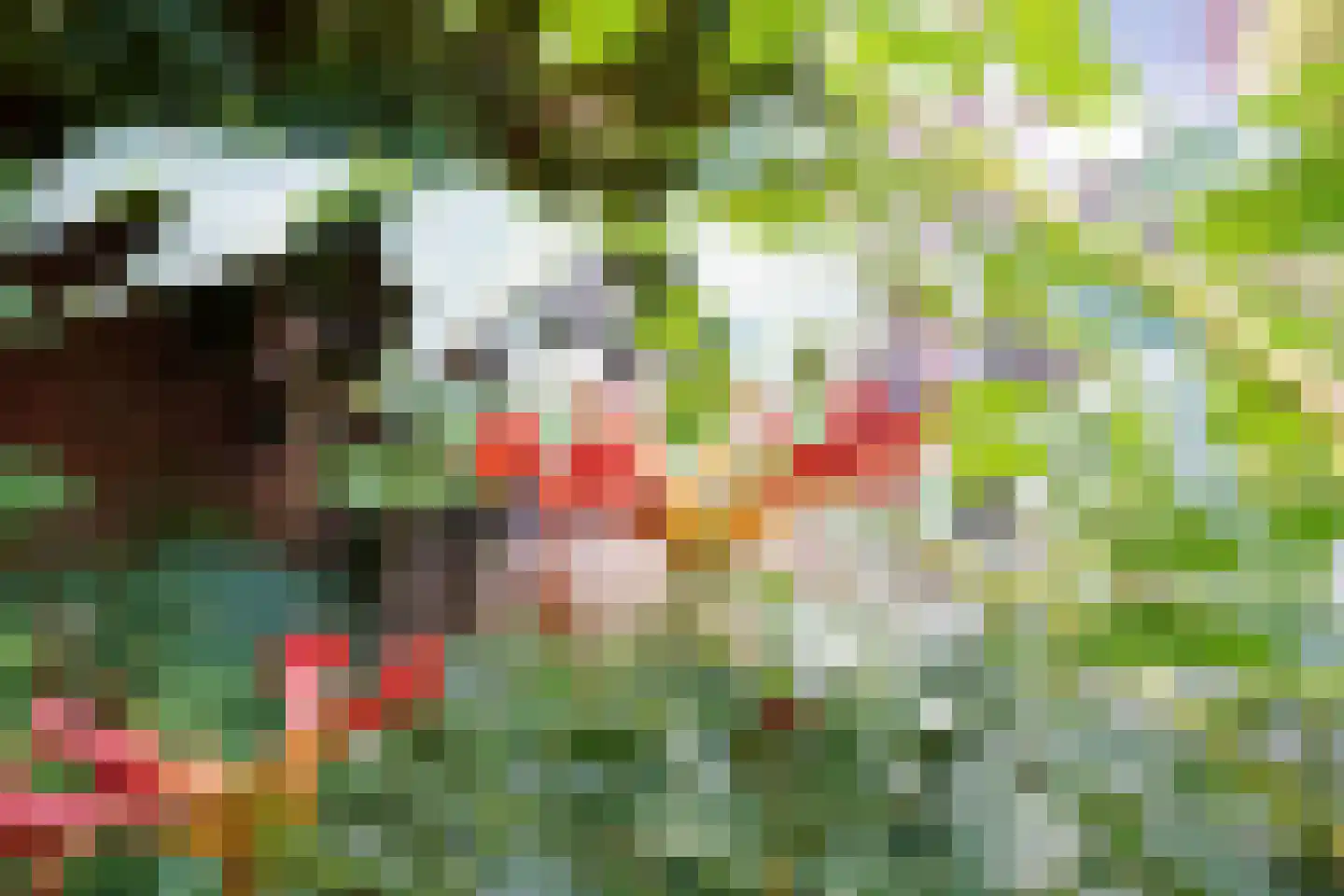 Bollengoed 20 Putten thumbnail 11