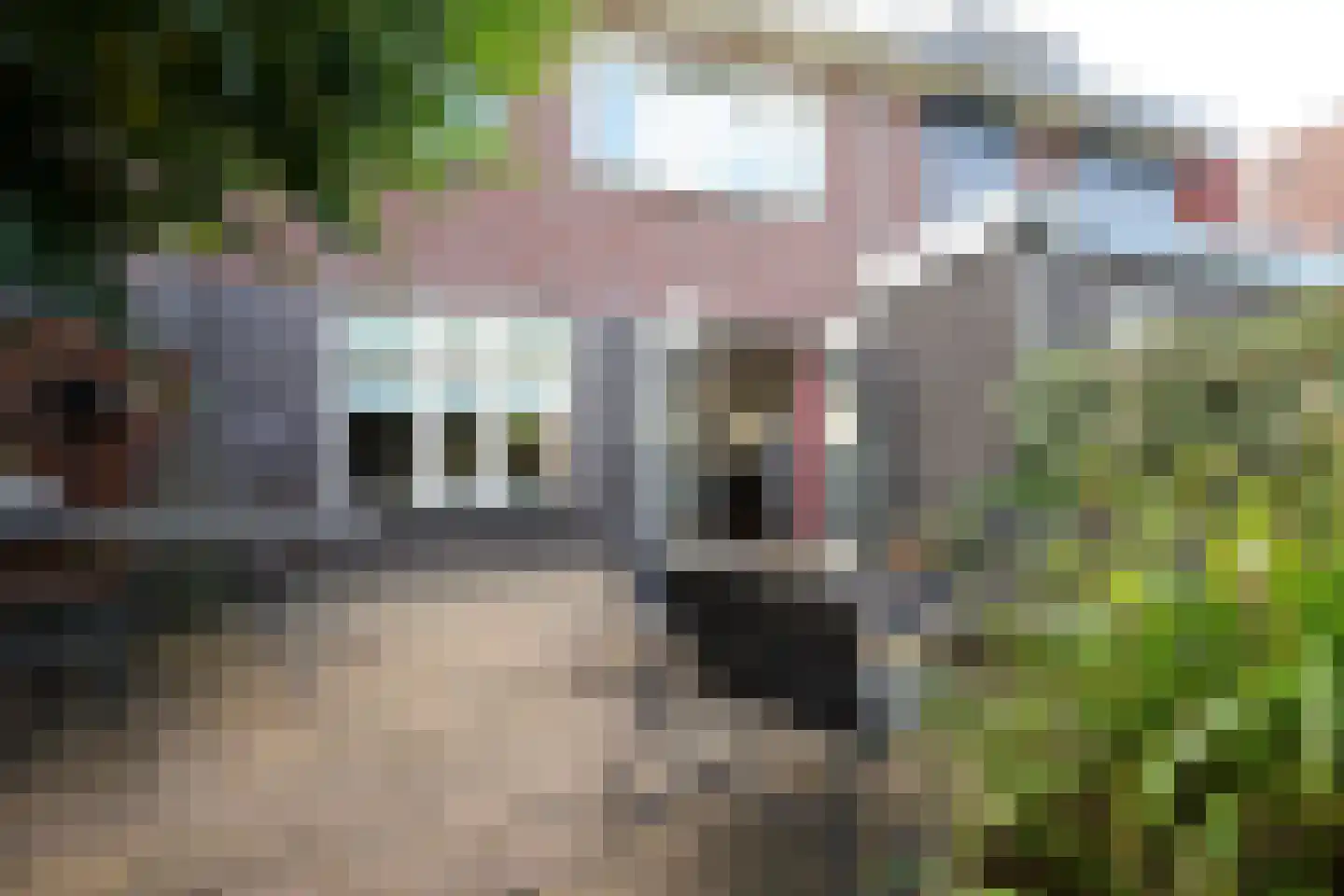 Bollengoed 20 Putten thumbnail 12