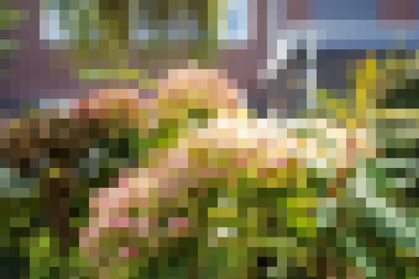 Bollengoed 20 Putten thumbnail 13