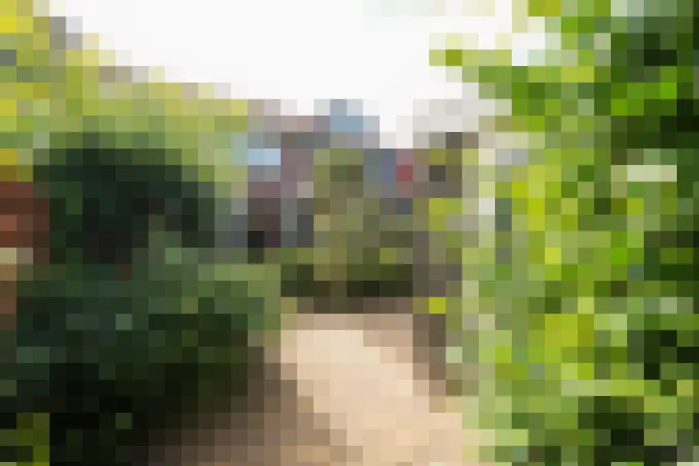 Bollengoed 20 Putten thumbnail 14