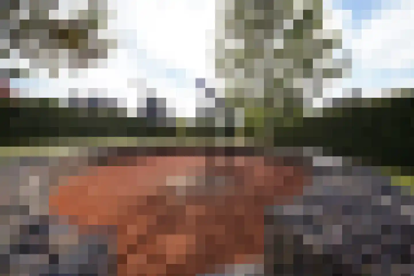 Bollengoed 20 Putten thumbnail 36