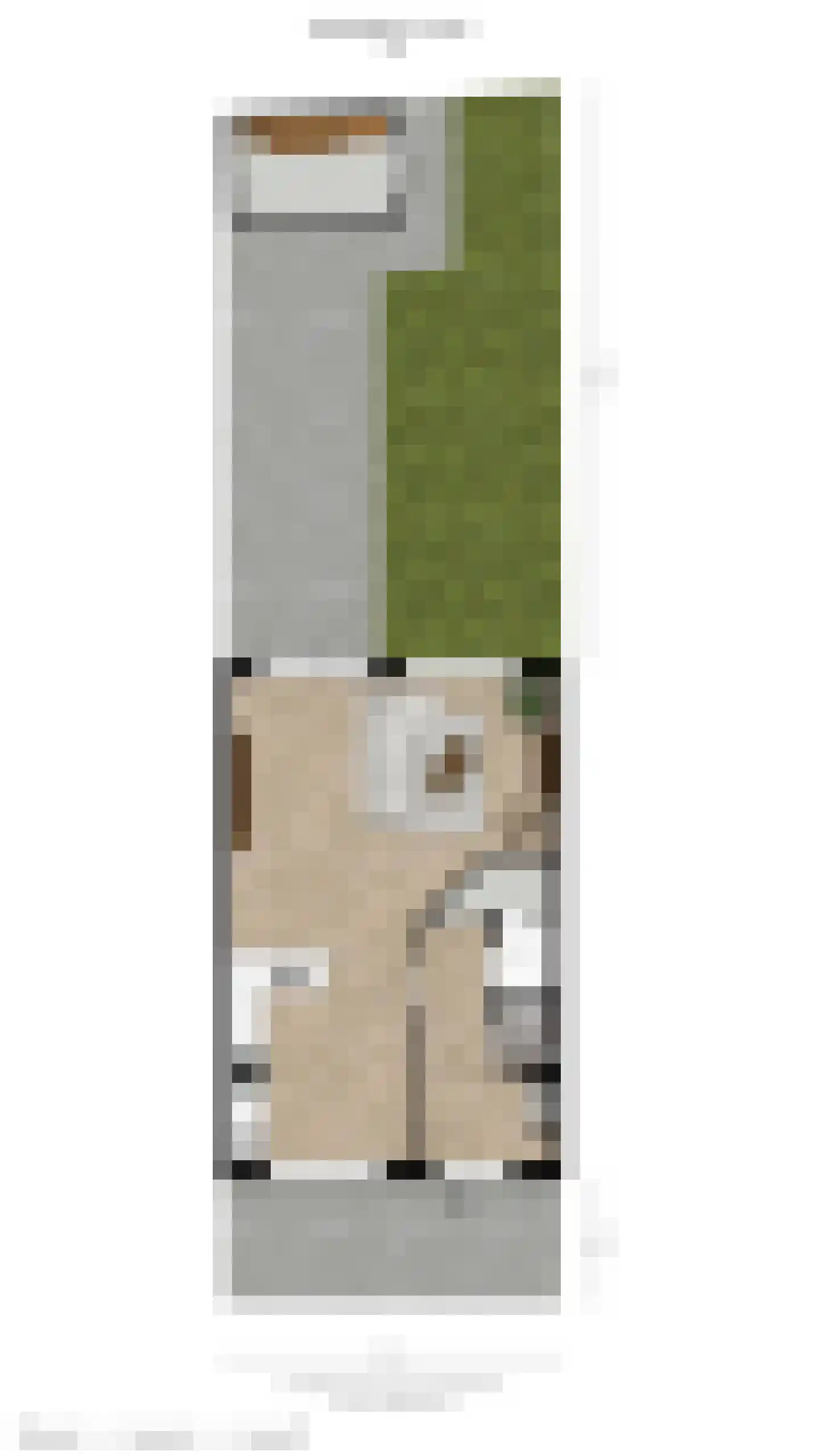 Bollengoed 20 Putten thumbnail 38