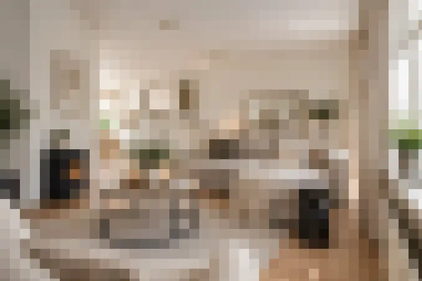 Bollengoed 20 Putten thumbnail 8