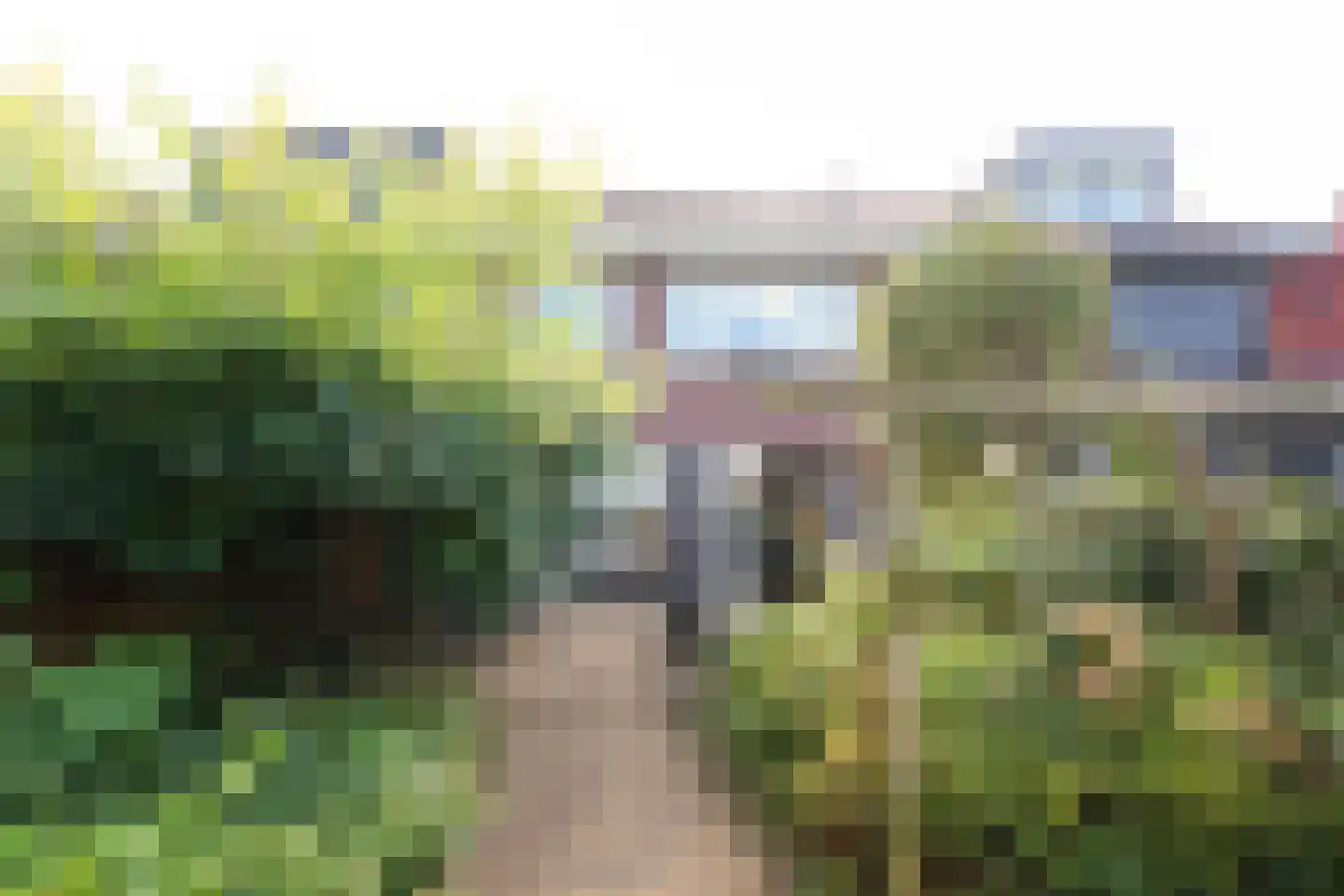 Bollengoed 20 Putten thumbnail 9
