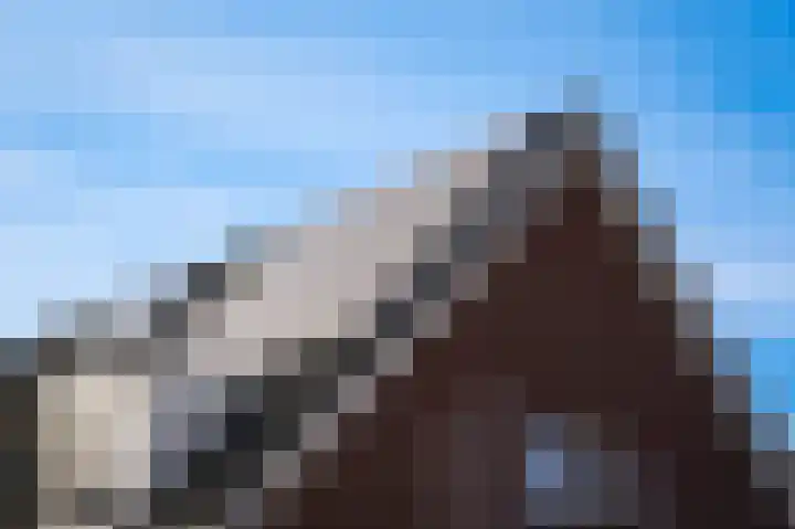 Bollenhoef 10 Eethen thumbnail 26