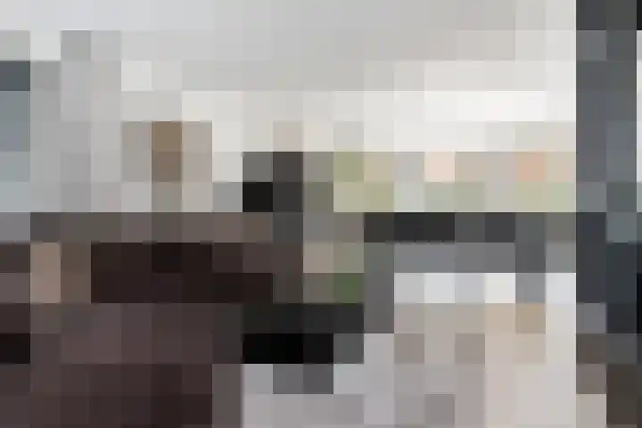 Bollenhoef 2 Eethen thumbnail 11