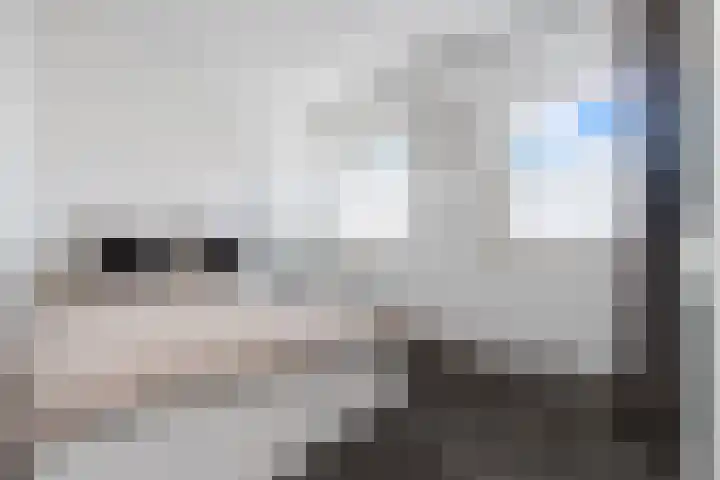 Bollenhoef 2 Eethen thumbnail 28
