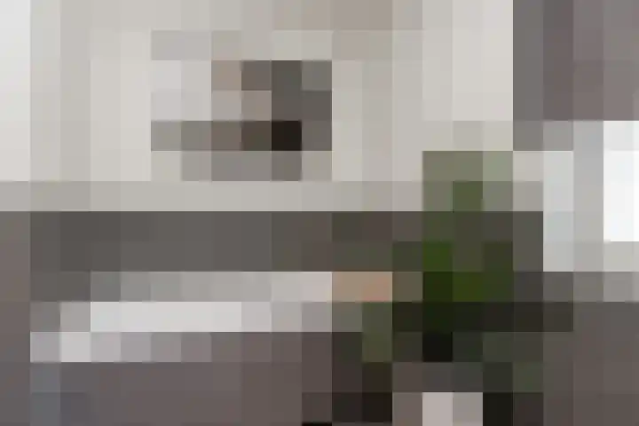 Bollenhoef 2 Eethen thumbnail 36