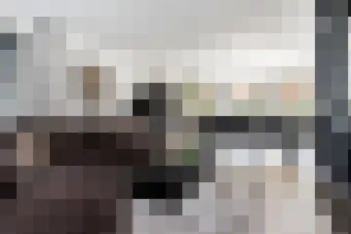 Bollenhoef 2 Eethen thumbnail 4