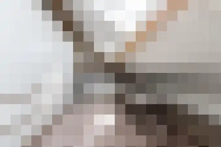 Bollenhoef 2 Eethen thumbnail 40
