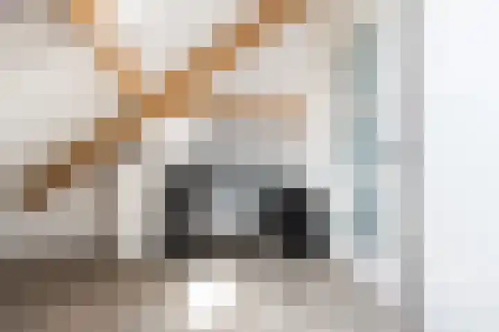 Bollenhoef 2 Eethen thumbnail 41