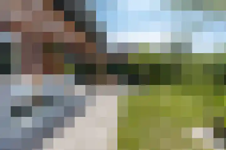 Bollenhoef 2 Eethen thumbnail 44