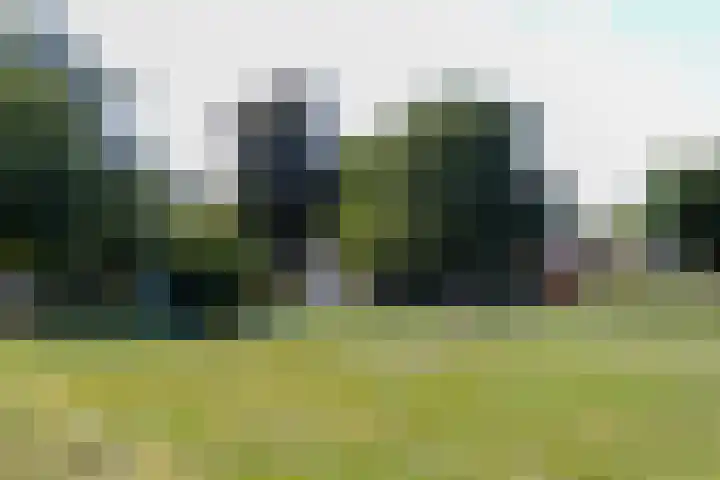 Bollenhoef 2 Eethen thumbnail 60