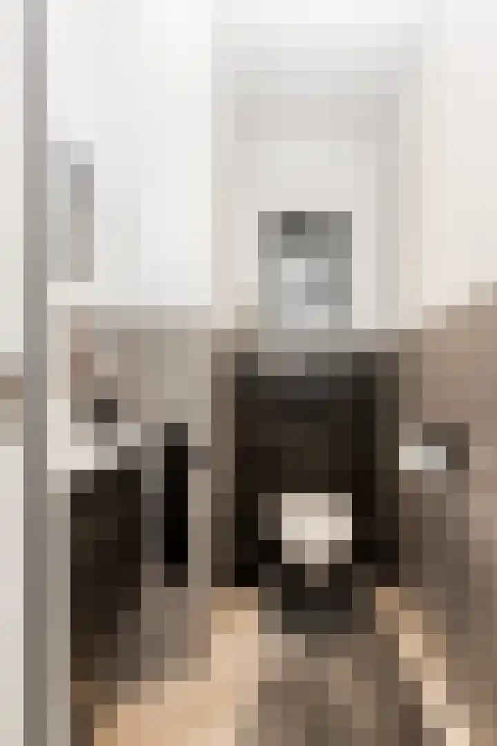 Bollenhoef 2 Eethen thumbnail 8