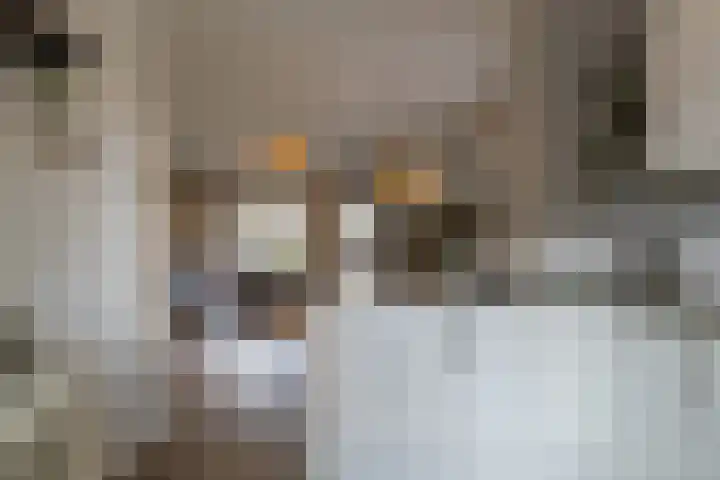 Bollenhoef 20 Eethen thumbnail 10