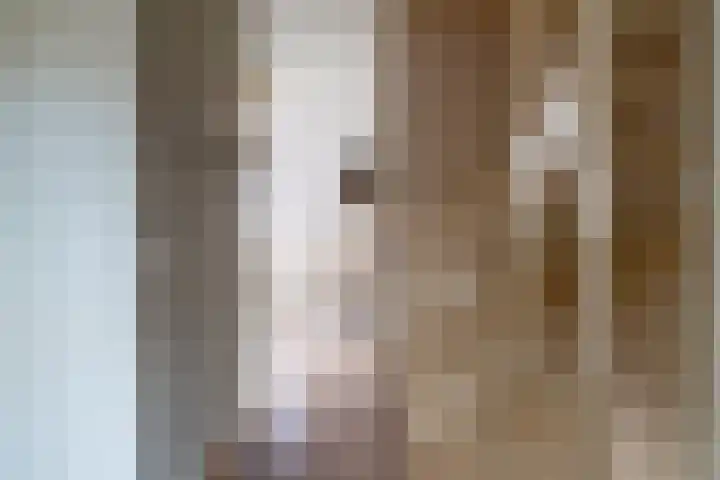 Bollenhoef 20 Eethen thumbnail 12
