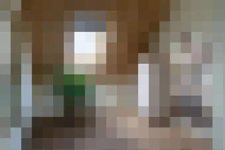 Bollenhoef 20 Eethen thumbnail 19