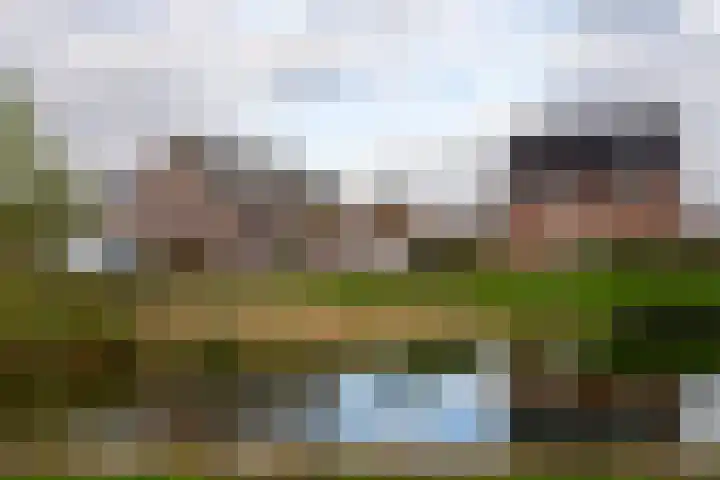 Bollenhoef 20 Eethen thumbnail 4