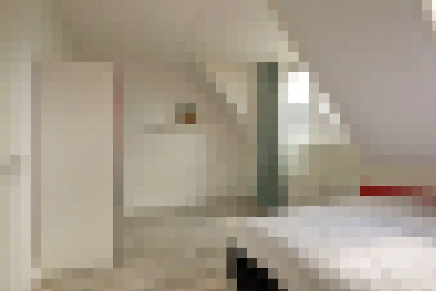 Bollenhoef 24 Eethen thumbnail 13