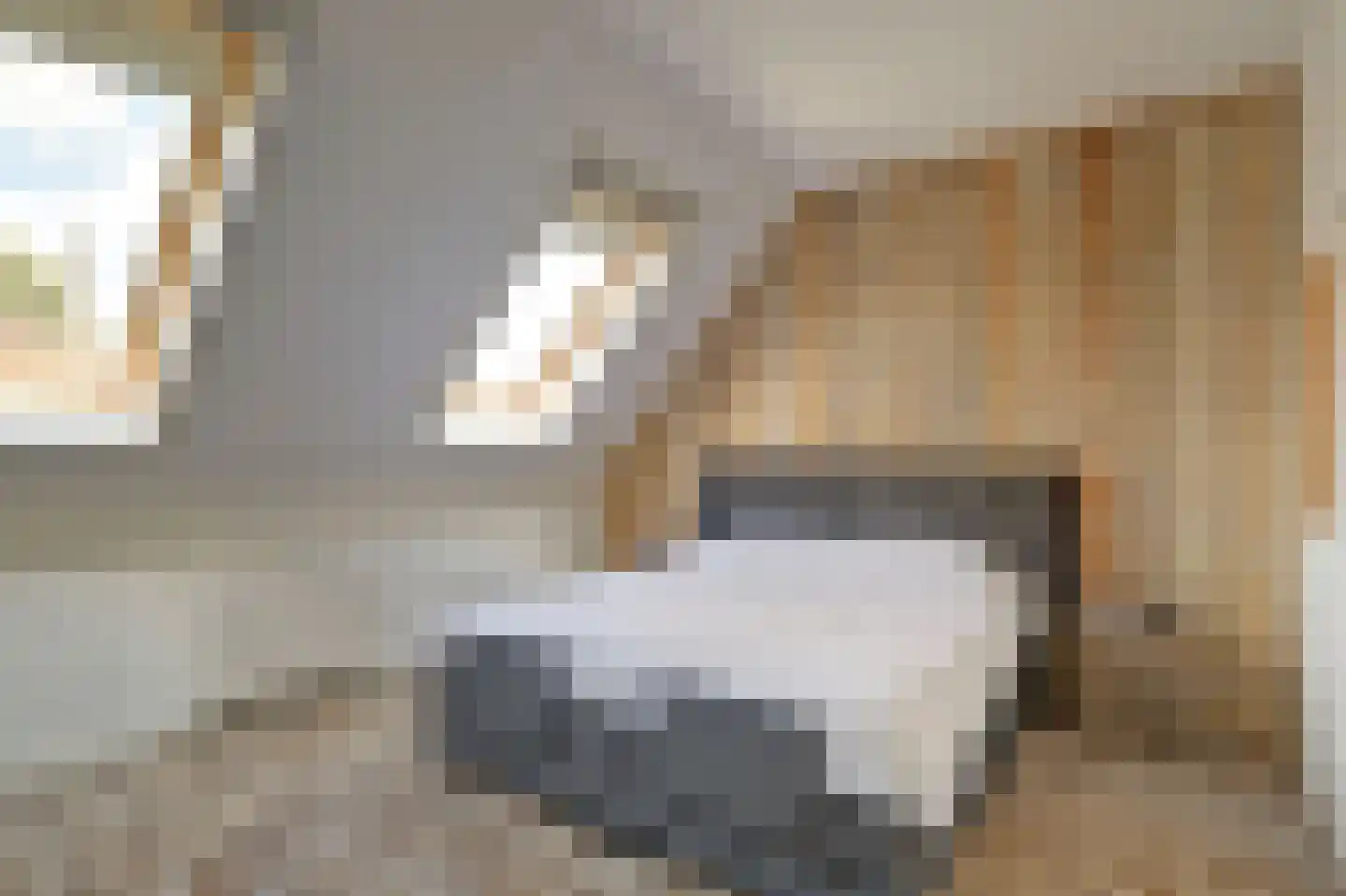 Bollenhoef 24 Eethen thumbnail 14