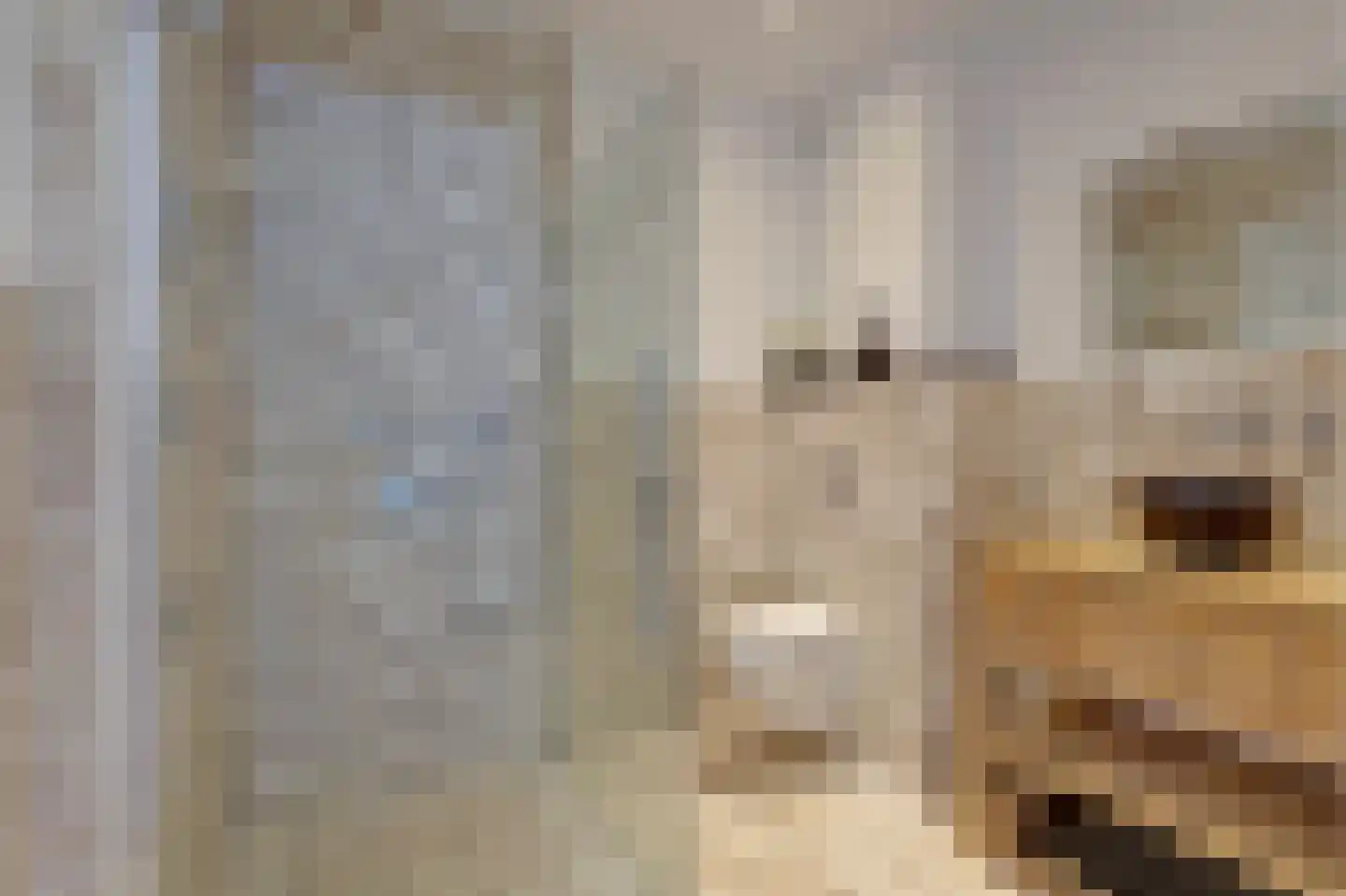 Bollenhoef 24 Eethen thumbnail 16