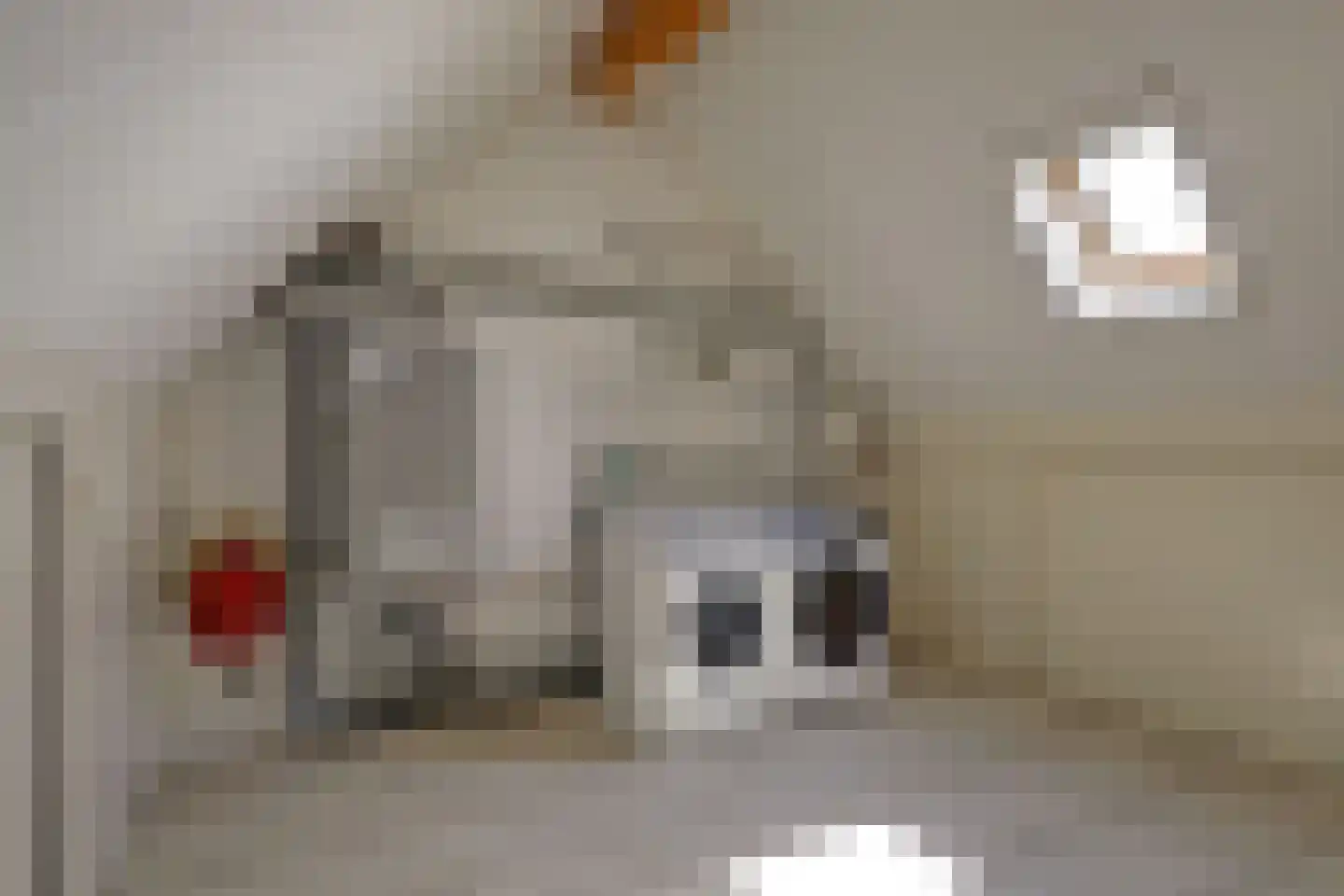 Bollenhoef 24 Eethen thumbnail 19