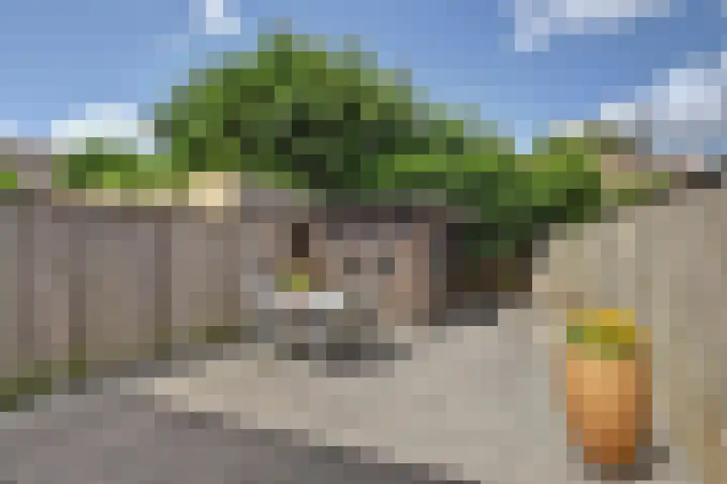 Bollenhoef 24 Eethen thumbnail 20