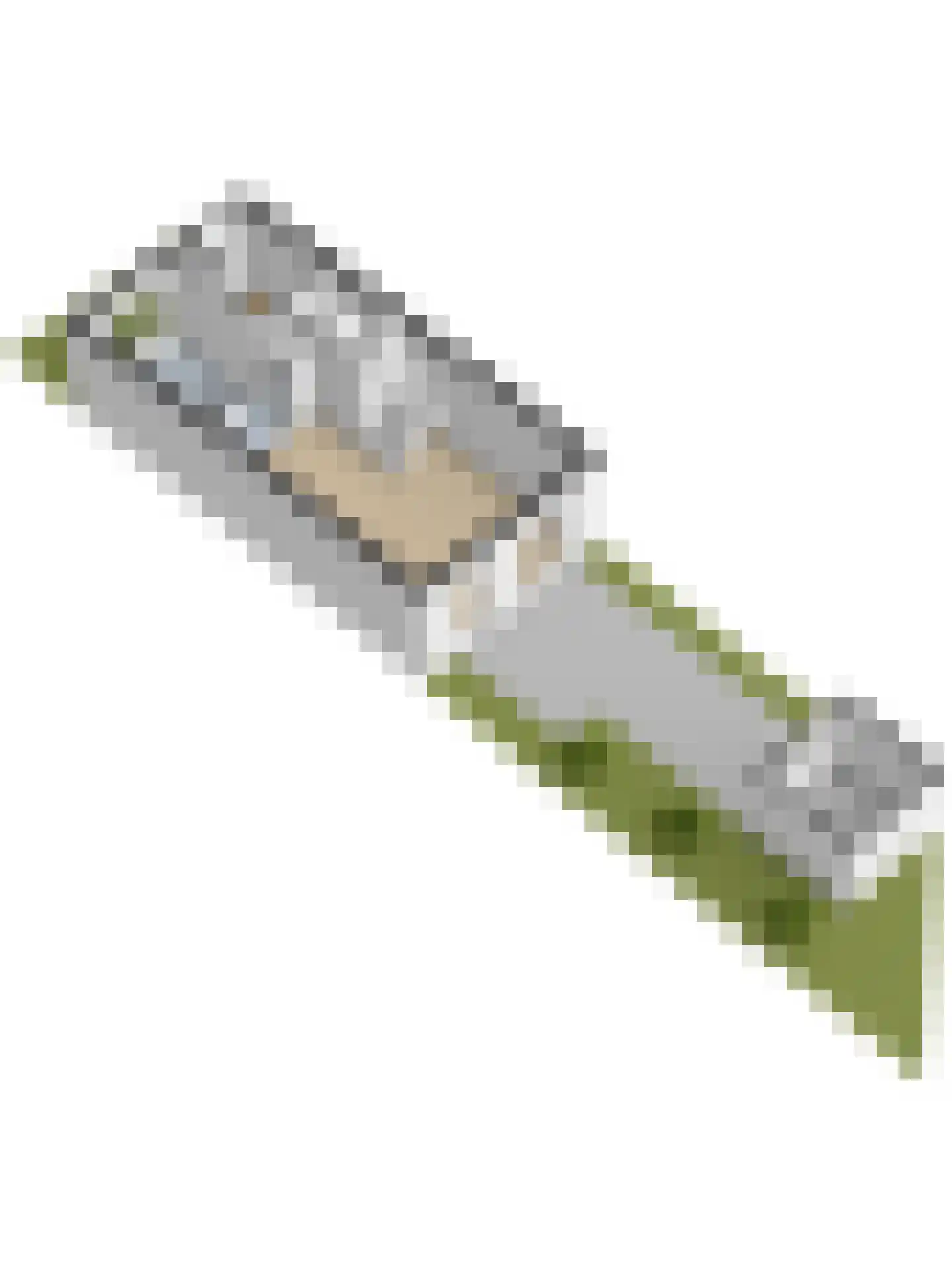 Bollenhoef 24 Eethen thumbnail 36