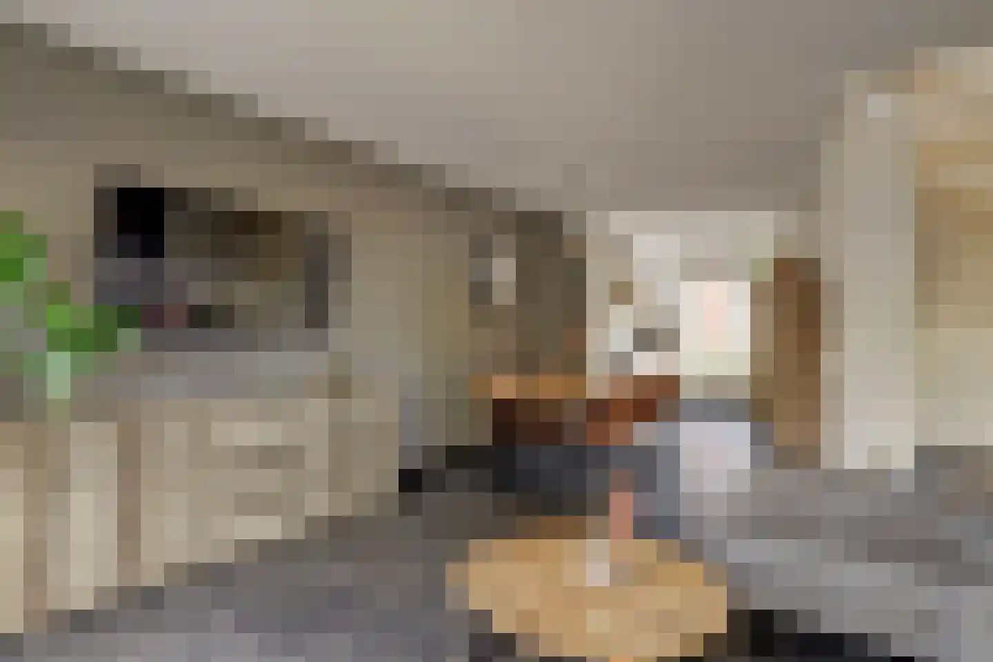 Bollenhoef 24 Eethen thumbnail 5