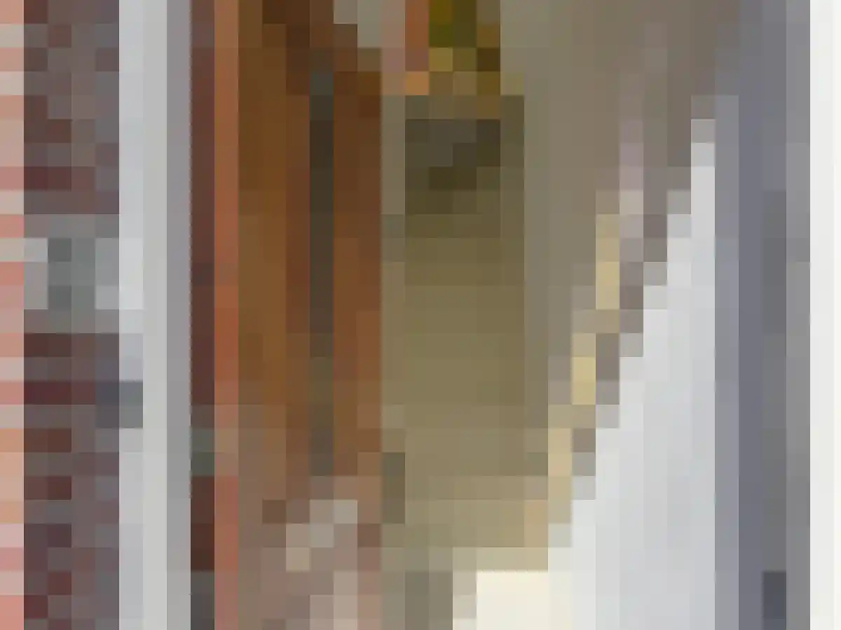 Bollenhofsestraat 120 Utrecht thumbnail 6