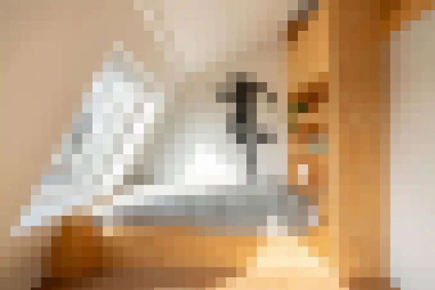 Bollenhofsestraat 152 Utrecht thumbnail 30