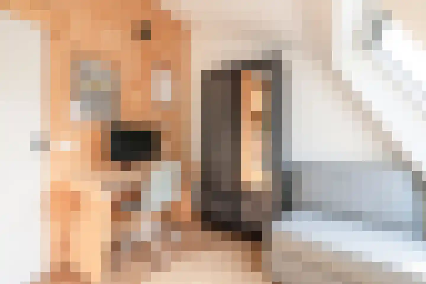 Bollenhofsestraat 152 Utrecht thumbnail 31