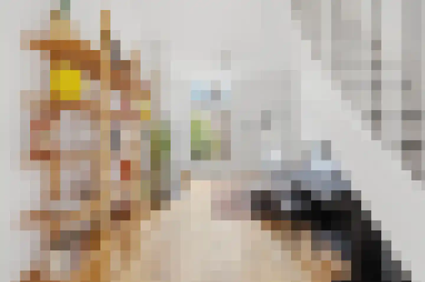 Bollenhofsestraat 51 Utrecht thumbnail 6