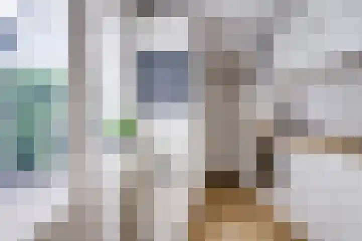 Bollenhofsestraat 79 D Utrecht thumbnail 18