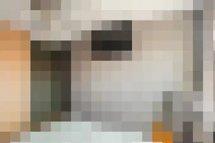 Bollenstraat 23 Kreileroord thumbnail 18